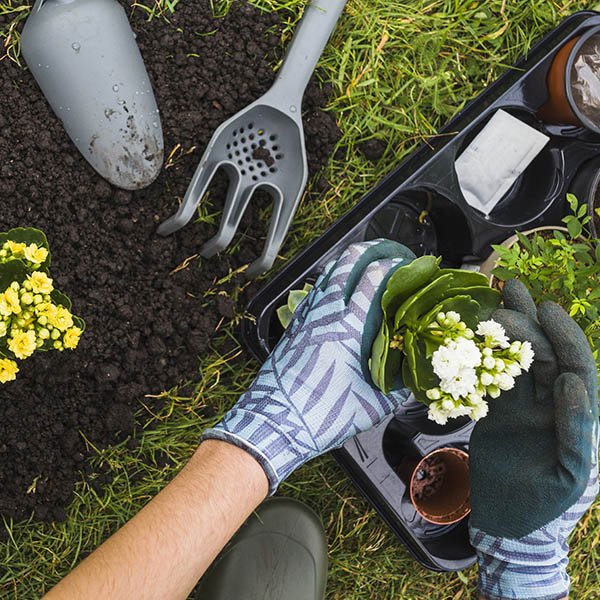Jardinagem e Paisagismo em Pindamonhangaba – Empresa 1 Eco Garden Paisagismo e Serviços em Pindamonhangaba | Taubaté | Caçapava | Tremembé | Eco Garden Paisagismo e Serviços