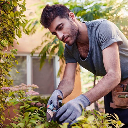 Jardinagem e Paisagismo em Pindamonhangaba – Sobre Eco Garden Paisagismo e Serviços em Pindamonhangaba | Taubaté | Caçapava | Tremembé
