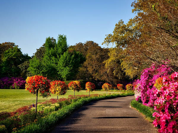 Jardinagem e Paisagismo em Pindamonhangaba Home 2 Facilities em Pindamonhangaba | Taubaté | Caçapava | Tremembé | Eco Garden Paisagismo e Serviços